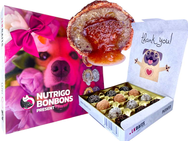 NUTRIGO kalogēna konfektes (LKB BAITS) suņiem kastē  130g